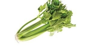 Mỗi bài tập mỗi dáng vóc