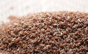 Ăn gạo lứt: Tốt đến đâu? Ăn thế nào đúng cách?