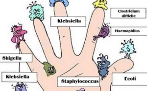 150 loại vi khuẩn 'rình rập' trên bàn tay bạn