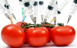 Những thí nghiệm biến đổi gene điên rồ nhất trong lịch sử