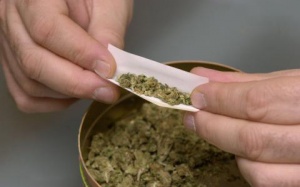 Những cái chết được báo trước từ cần sa