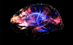 Bộ não - những điều khoa học chưa thể giải thích (Phần I)