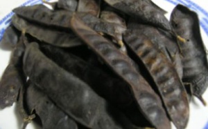 Hướng dẫn phòng, điều trị sởi của Viện Y học cổ truyền