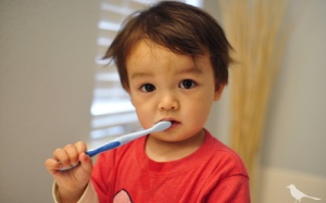 Chăm sóc trẻ bị viêm nướu răng