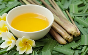 Ngừa muỗi cắn bằng dược thảo tự nhiên