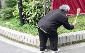 Cụ bà 80 tuổi được vinh danh... 'anh hùng diệt ruồi'