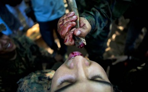 Nhắm mắt ăn lấy 'khỏe'