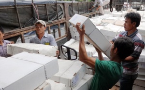 Tiêu hủy 12 tấn thịt bò Canada hết hạn sử dụng