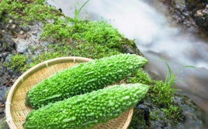 Các thực phẩm vị đắng có lợi cho sức khỏe