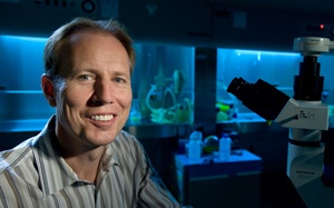 'Cải lão hoàn đồng' bằng cách... thay máu