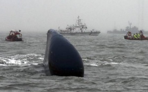 Thợ lặn tử vong khi tham gia tìm kiếm nạn nhân chìm phà Sewol