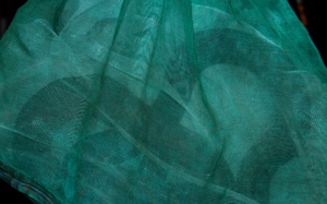 Nhiều rắn độc ngo ngoe trên xe khách