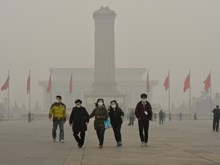 WHO: Chỉ 12% dân số thế giới sống trong bầu không khí đạt chuẩn