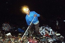 Vục mặt vào rác để mưu sinh