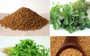 Bài thuốc tự nhiên trị tiểu đường