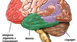 Xét nghiệm máu có thể chẩn đoán sớm bệnh Alzheimer