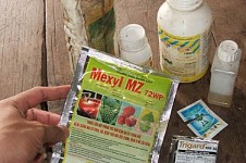 Báo động: Người trồng rau lạm dụng thuốc 'vượt'