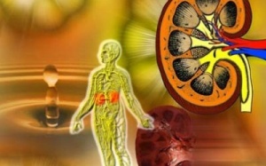 Nguyên tắc vàng phòng ngừa suy thận mạn