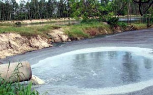 Bắt quả tang nhà máy đường xả nước thải ra môi trường