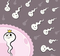 Những “kẻ thủ” khiến tinh trùng dị dạng