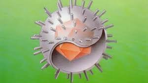 Tăng bạch cầu đơn nhân: Những điều cần biết