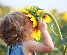 Mùi hương 'gắn chặt' với ký ức