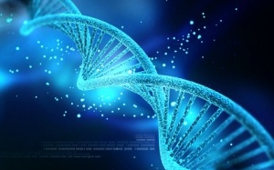 DNA nhân tạo khiến giới khoa học đau đầu
