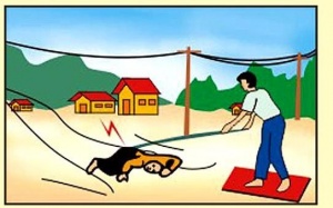 Cách cấp cứu người bị điện giật