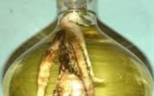 10 bài rượu thuốc cho quý ông “tắt lửa”