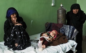 WHO ưu tiên cho cuộc chiến chống viêm gan và lao phổi