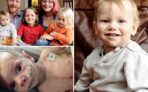 Vá lỗ thủng ở tim bằng... tim bò