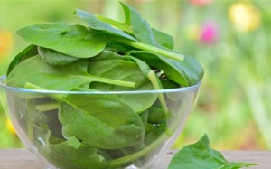 6 thực phẩm làm tăng chiều cao cho trẻ