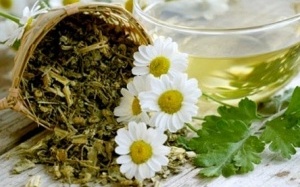 Cẩm nang làm đẹp tóc nhờ thảo mộc