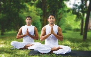 Yoga cho dân văn phòng