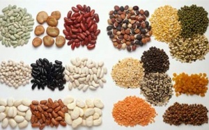 Thực phẩm 'nuôi dưỡng' cholesterol tốt