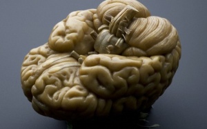 'Chết là một quá trình'