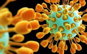 Tìm ra chất kháng coronavirus gây bệnh đường hô hấp