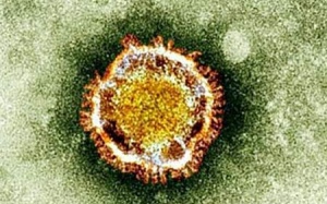 Tìm ra hợp chất tiêu diệt vi rút gây bệnh SARS và MERS
