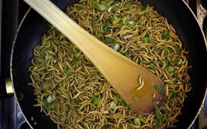 Sâu gạo trong thực đơn của phi hành gia