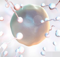 Lợi ích cực tốt của tinh trùng với phụ nữ