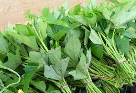 Rau lang: Bổ dưỡng, thanh nhiệt