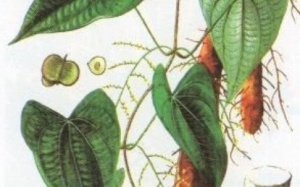 Ðàn ông “mãn kinh” ăn gì?