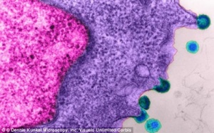 'Chỉnh sửa' gen để chữa HIV