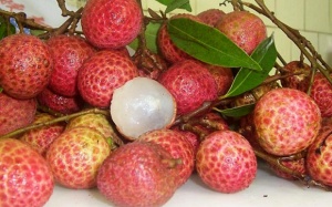 Hà Nội: Hóc vải, bé trai 6 tuổi tử vong thương tâm