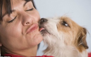 Có thể mắc bệnh vì hôn thú cưng