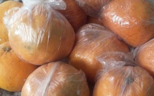 Cam Trung Quốc để quên 2 tháng vẫn tươi nguyên