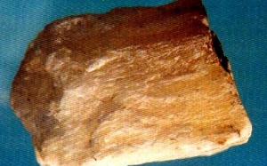 Nấu cháo thạch cao... chữa bệnh