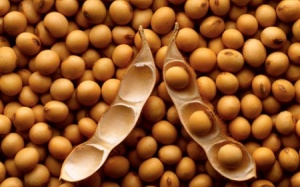 8 món ăn nhẹ giúp đốt chất béo