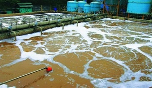 Chỉ 1/2 bệnh viện có hệ thống xử lý nước thải y tế