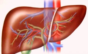 Viêm gan B: Khi nào cần điều trị?